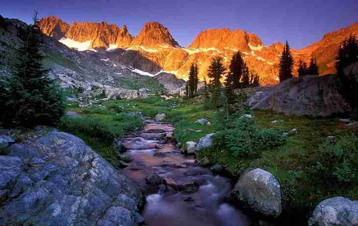 商丘职业技术学院校花沈念慈 商丘职业技术学院校花沈念慈