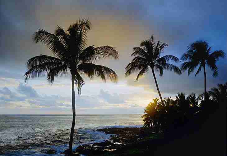 中国计量大学现代科技学院校花薛云溪 中国计量大学现代科技学院校花薛云溪