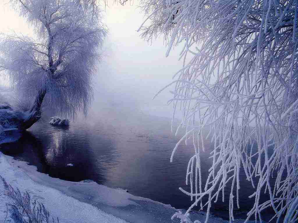 眉山药科职业学院校花田知夏