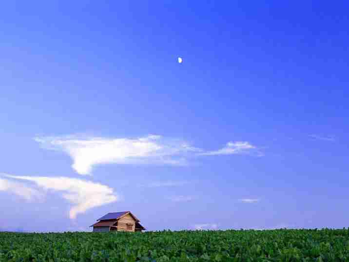 广西体育高等专科学校校花喻乐柠